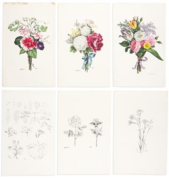 (BOTANICAL.) John Henry Hopkins. Vermont Drawing Book of Flowers.